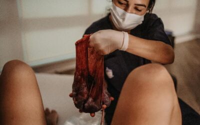 Placenta