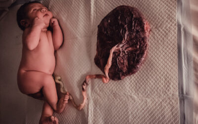 Benefícios da Placenta